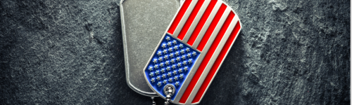 …Against All Enemies, Foreign and Domestic